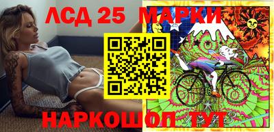 индика Можга