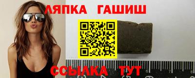 индика Можга