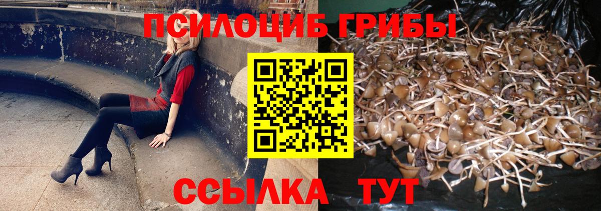 Галлюциногенные грибы ЛСД Сибай